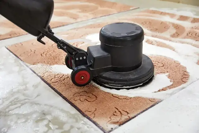 The Truth About Rug Cleaning Services: What Most Carpet Cleaners Won't Tell You