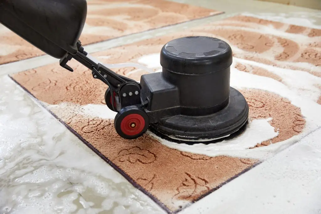 The Truth About Rug Cleaning Services: What Most Carpet Cleaners Won't Tell You