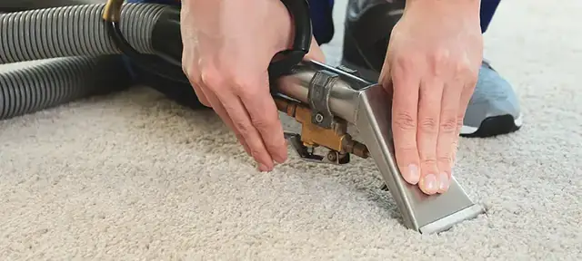 Expert Carpet Cleaning Tips and Tricks