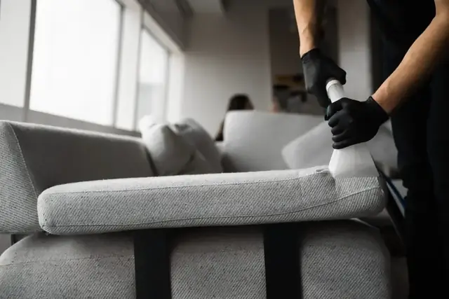 Upholstery Cleaning Tips for Allergy Sufferers