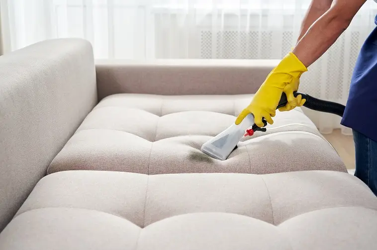 Is Professional Upholstery Cleaning Worth It? Here's What You Need to Know