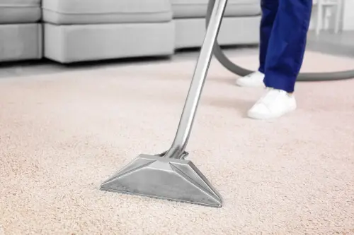 Why Do You Need Professional Carpet Cleaning?