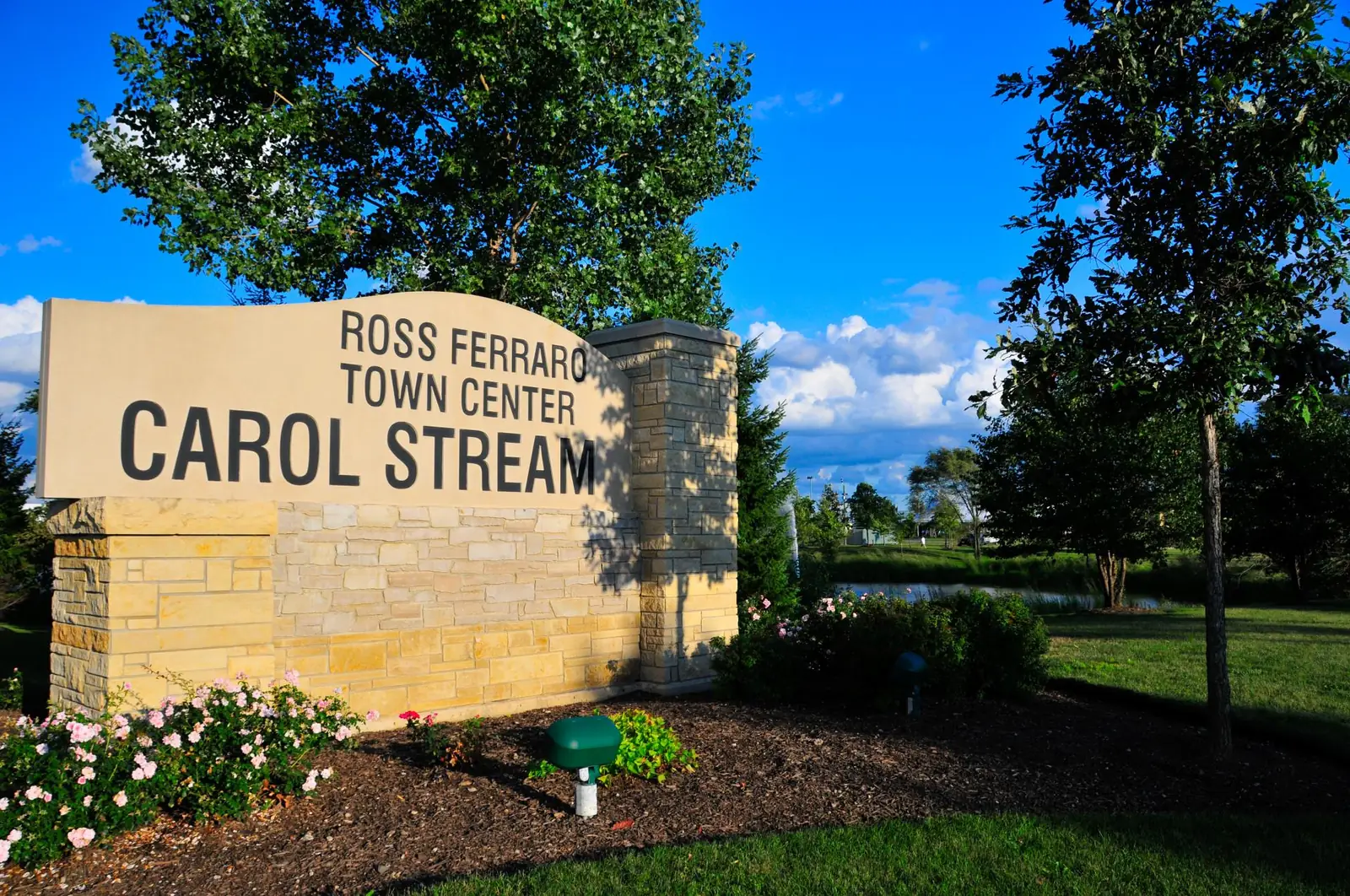 Carol Stream, IL — carpet cleaning service area