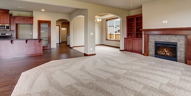 home interior with clean carpeting