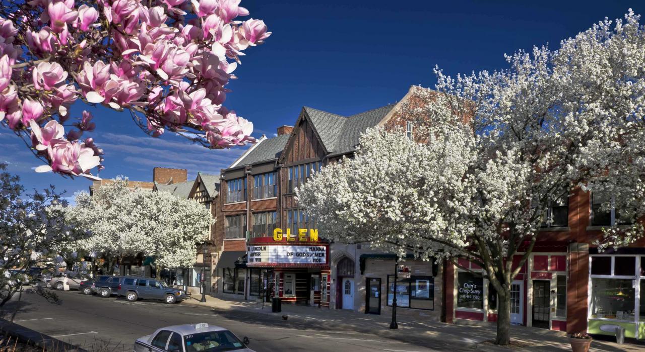 Oak Brook IL — carpet cleaning service area