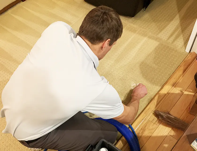 carpet cleaner treating pet stains
