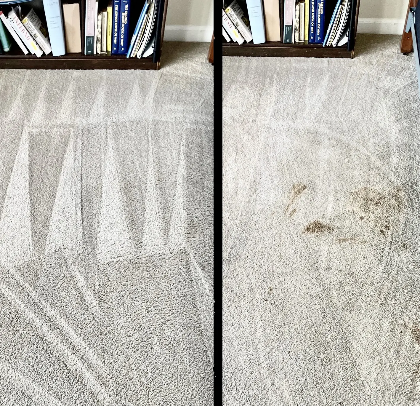 stains on the carpet before and after cleaning
