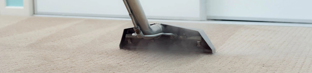 carpet cleaner uses wand to clean carpet