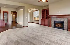 picture shows clean livingroom carpeting