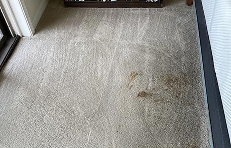 Hard to Clean Carpet Stains
