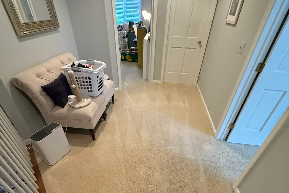 Same Lake Forest room after carpet cleaning, pile groomed in one direction