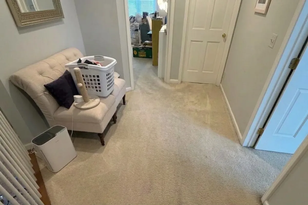 Carpeted Lake Forest room showing darkened traffic lane before cleaning on Estate Ln E