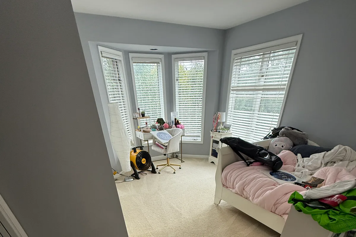 Doorway approach between two rooms after carpet cleaning and grooming