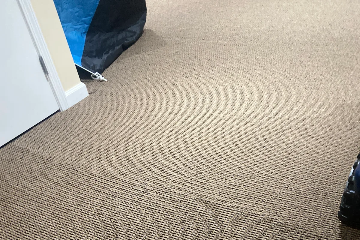 Single treated spot on carpet after pre-treatment and cleaning pass