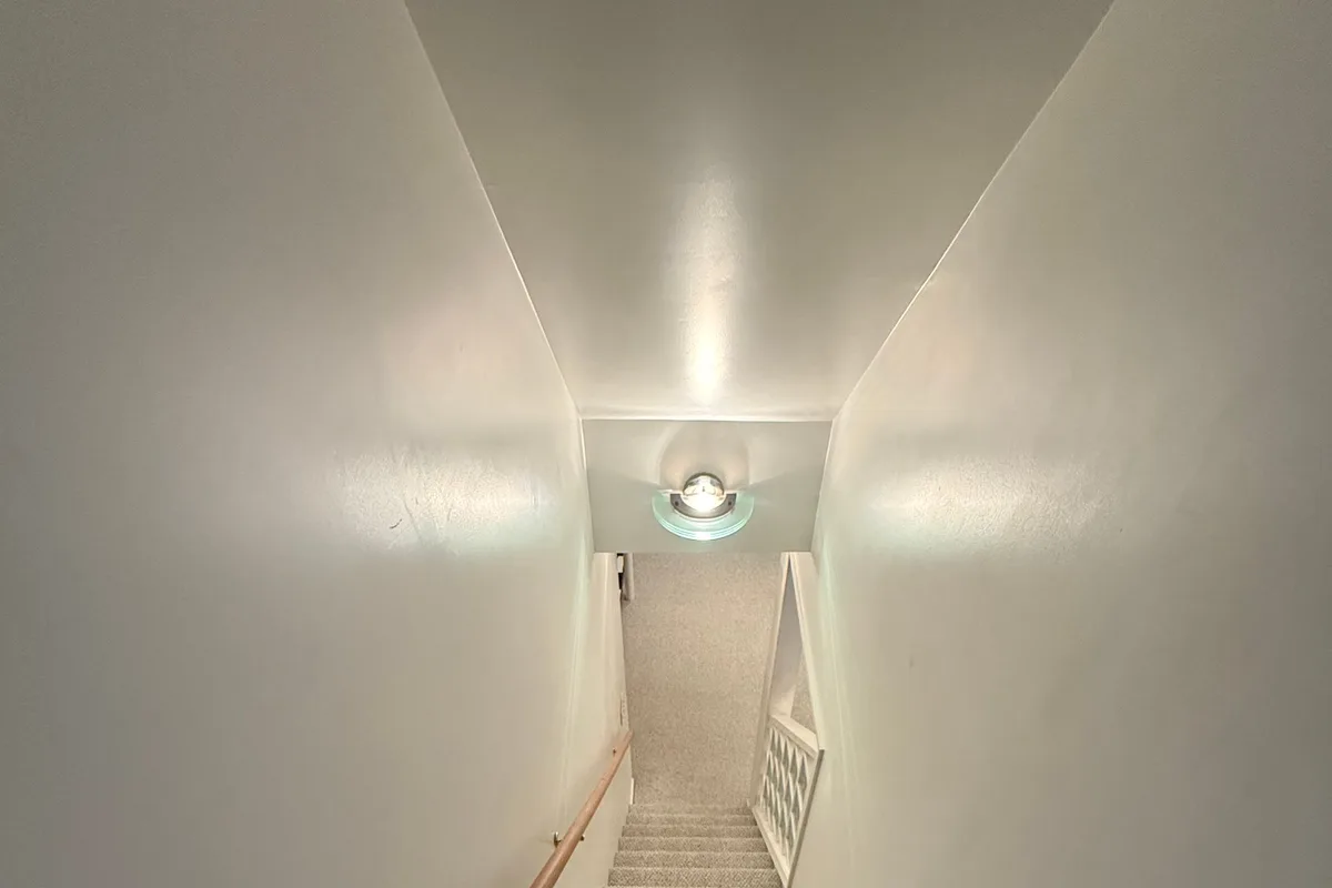Hot-water extraction wand drawing a cleaning pass across living room carpet