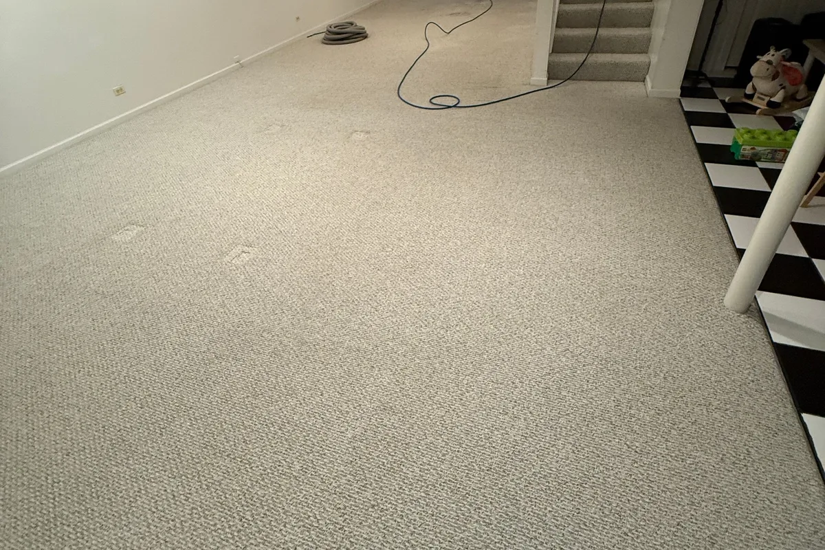 Finished carpet in a Williams Way room showing even pile and no traffic lane