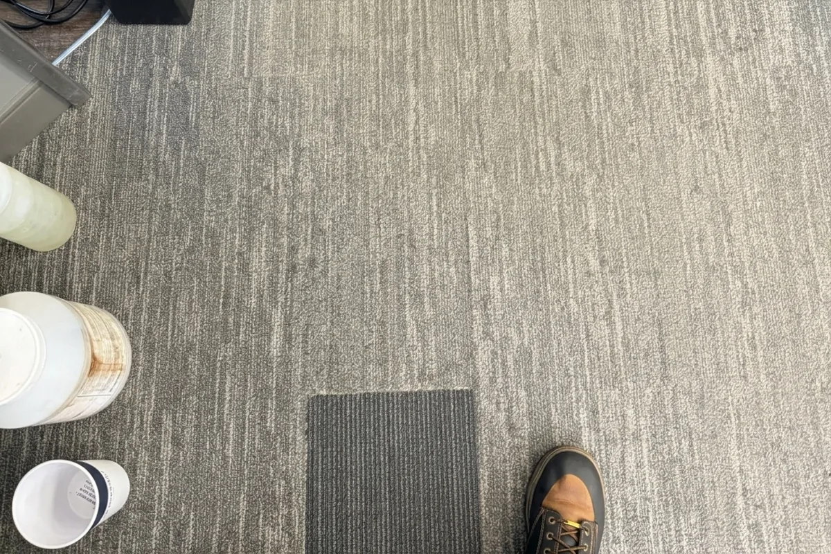 Same office broadloom after commercial carpet cleaning, color even across the room
