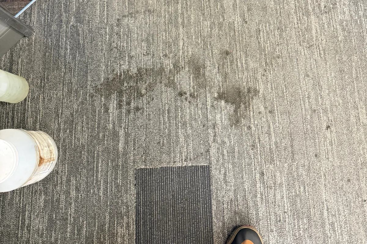 Open office carpet with worn traffic lanes before commercial cleaning in Northbrook