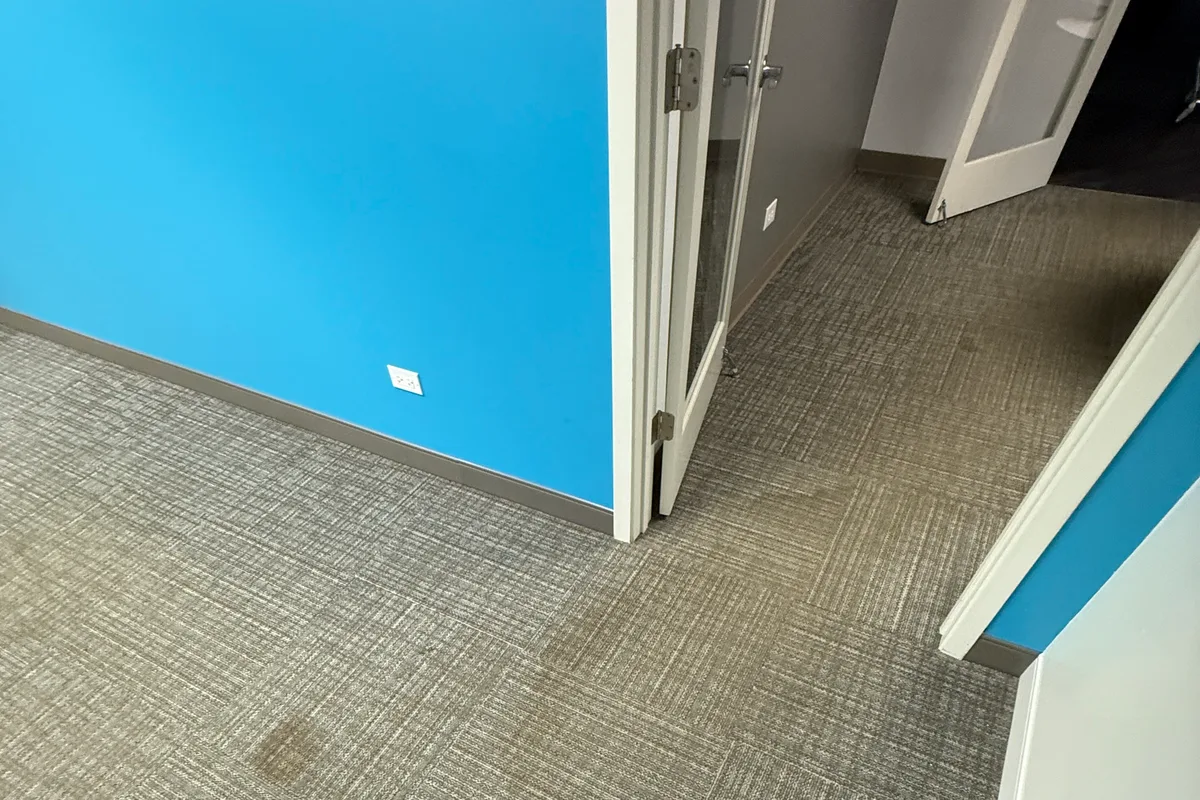 Finished commercial carpet running between two rooms with no visible line